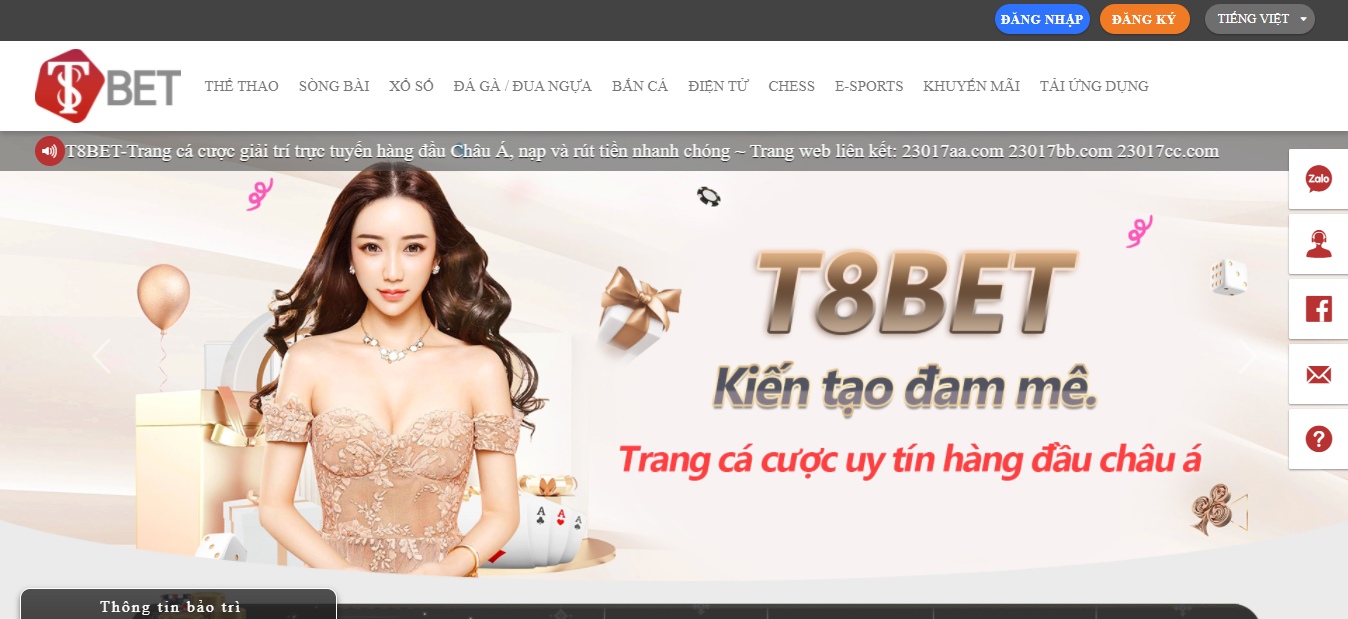 T8BET - Nhà cái cá cược trực tuyến tại Việt nam